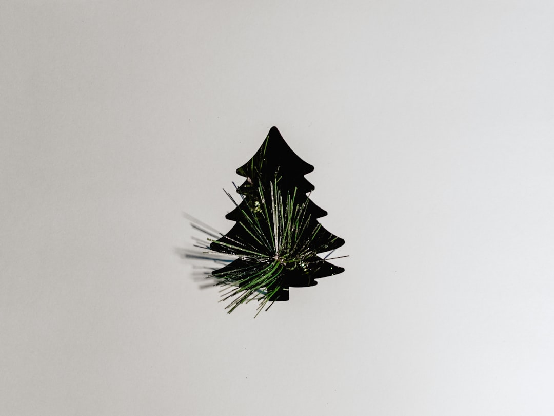 Capturing the Fun: Party Photoshoot